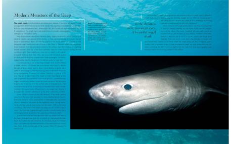 bbc oceans page samples